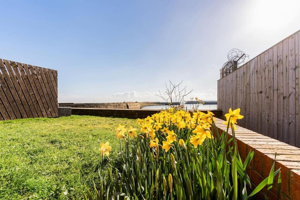 Stunning Ground Floor Hartlepool Marina Apartment Luaran gambar